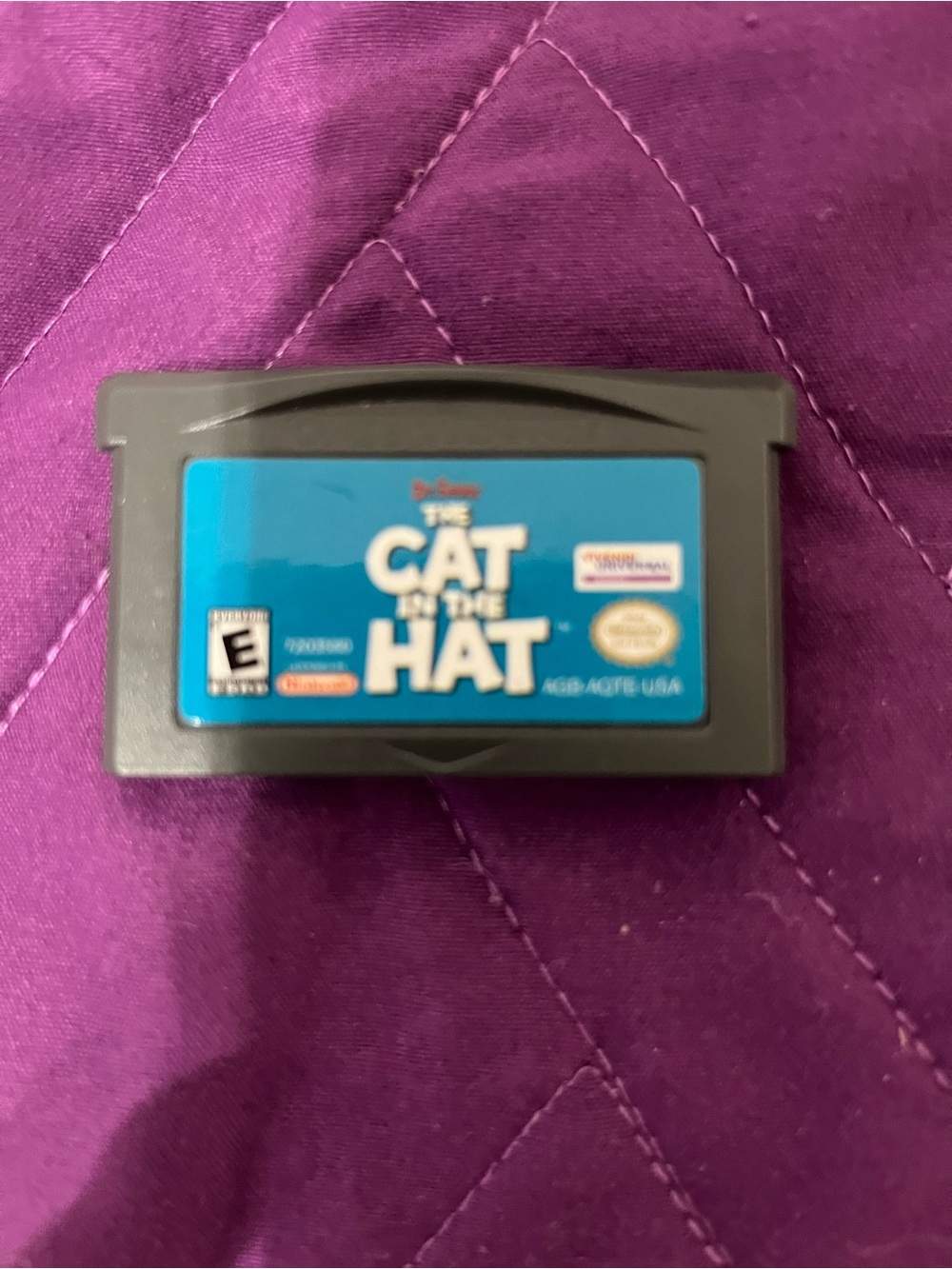 The Cat in the Hat Game Cartridge - Nintendo - Blue Label on Gray